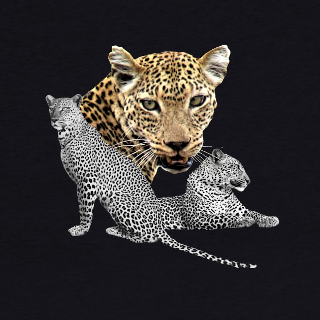 Leopard in Africa by T-SHIRTS UND MEHR